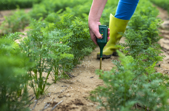 Measure soil with digital device. Green plants and woman farmer - Stock Photo - Images