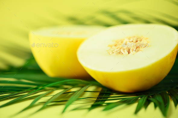 Sweet melon over tropical green palm leaves on yellow background. Copy space. Pop art design - Stock Photo - Images