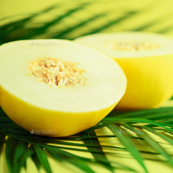 Sweet melon over tropical green palm leaves on yellow background. Copy space. Pop art design - Stock Photo - Images