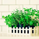 Mint, thyme, basil, parsley - aromatic organic herbs on white kitchen table, brick tile background