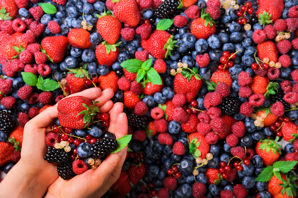 Woman hands holding organic fresh berries against the background of strawberry, blueberry - Stock Photo - Images