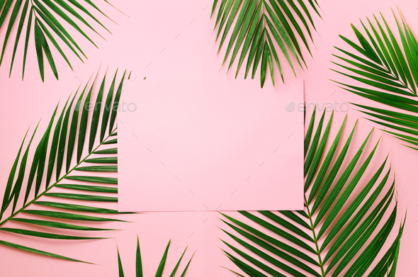 Tropical palm leaves on pastel pink background with paper card note. Minimal summer concept - Stock Photo - Images