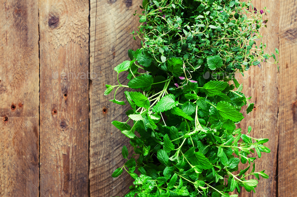 Collection of fresh organic herbs (melissa, mint, thyme, basil, parsley) on wooden background - Stock Photo - Images