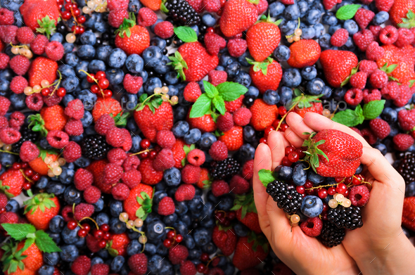 Woman hands holding organic fresh berries against the background of strawberry, blueberry - Stock Photo - Images