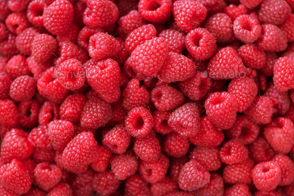 Fresh organic raspberries with mint leaves. Fruit background with copy space. Summer and berries - Stock Photo - Images