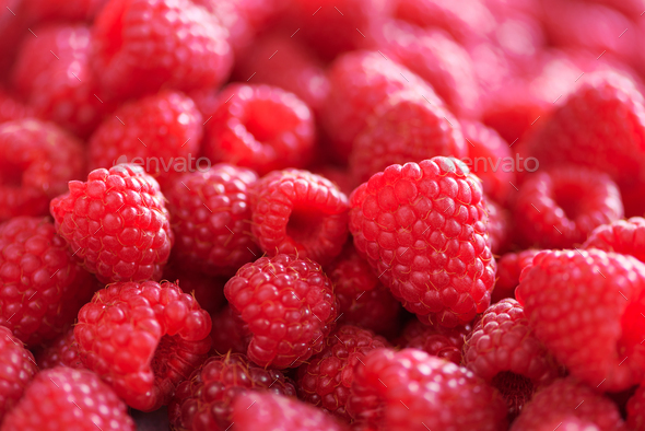 Ripe raspberries macro. Selective focus. Fruit background with copy space. Summer and berries - Stock Photo - Images