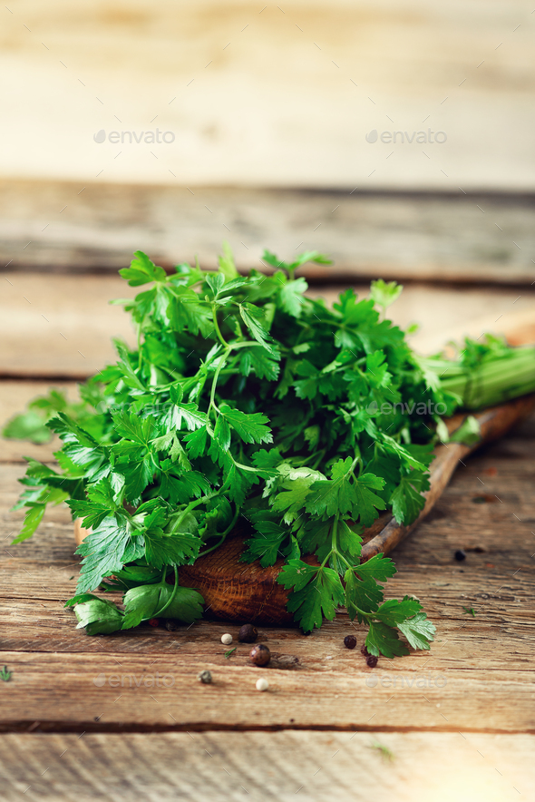Bunch of fresh organic parsley on wooden background with copyspace, rustic and vintage style - Stock Photo - Images
