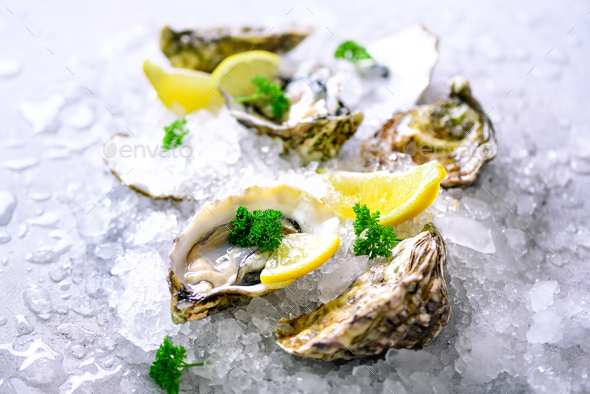 Fresh opened oysters, lemon, herbs, ice on concrete stone grey background. Top view, copy space