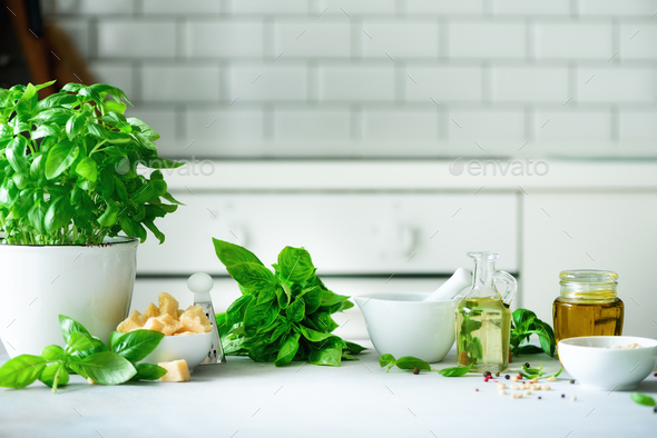 Pot of fresh basil, oil, pine nuts, with white kitchen background. Copy space. Ingredients for - Stock Photo - Images