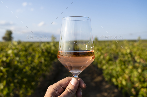 hand holding a glass of rose wine in front of vineyard - Stock Photo - Images