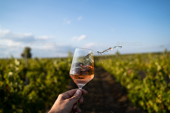 hand holding a glass of rose wine in front of vineyard - Stock Photo - Images