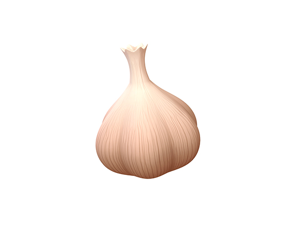 Garlic - 3Docean 24863072