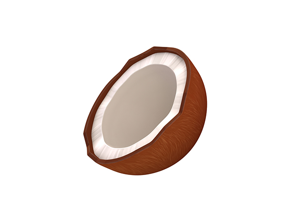Coconut - 3Docean 24863099