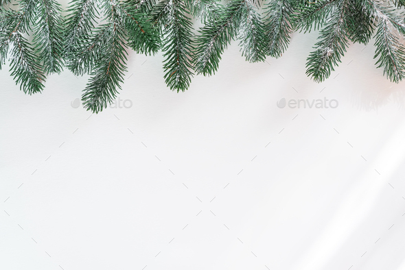 Download Fir Branches In The Snow With Sunlight Rayson A White Background Christmas Background Space For Stock Photo By Lyulkamazur 3D SVG Files Ideas | SVG, Paper Crafts, SVG File