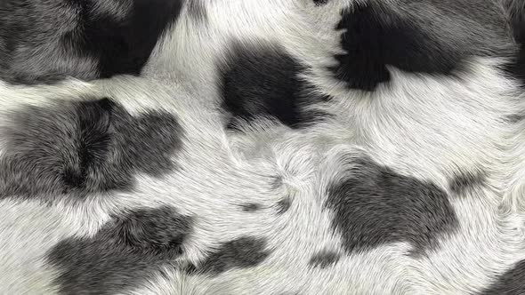 Cow Fur Background