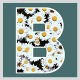 BloomAudioProductions
