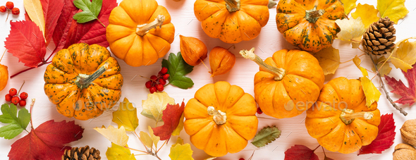 Festive fall pumpkins decor with fall leaves. Thanksgiving day, halloween holiday, harvest concept
