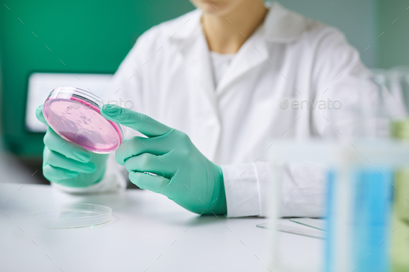 Bio Testing in Laboratory