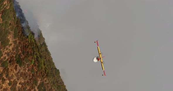 The Aerial View of a Water-bomber Dumping the Water and Disappearing in a Smoky Sky alt