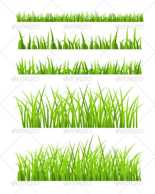 Green Grass - Seasons Nature
