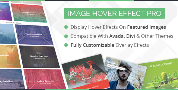 WP Image Hover Effects