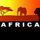 Africa Safari
