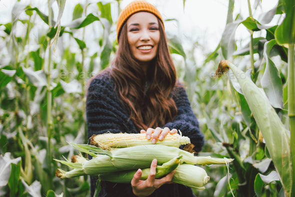 Beautiful carefree long hair asian girl in the yellow hat and knitted sweater holding cobs of corn - Stock Photo - Images