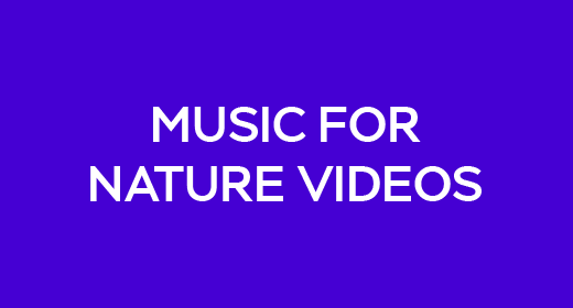 Music For Nature Videos