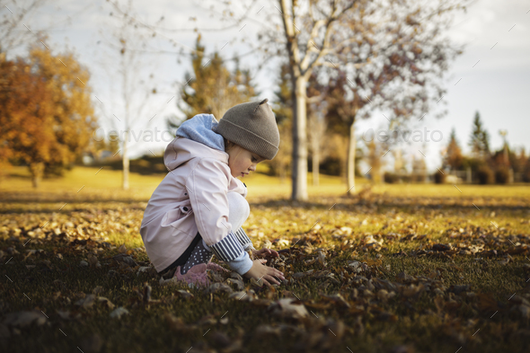 Little child, baby girl playing with fall leaves on the ground. The Fall season. - Stock Photo - Images