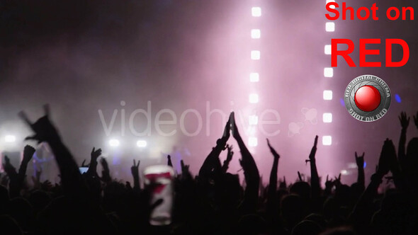 Concert with Crowd at Rock Show alt