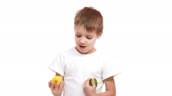 Elementaryschool Aged Caucasian Boy Standing on White Background and Holding Lemon and Lime in Hands alt
