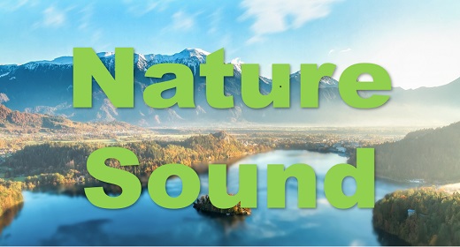 Nature Sound