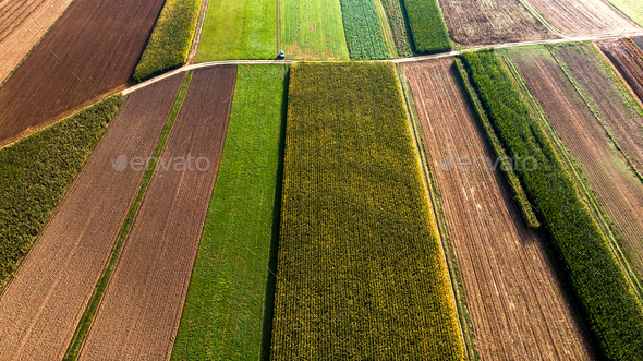 Colorful Countryside Farm Fields. Cultivated Soil with Crops. Ae