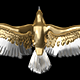 American Eagle - USA Flag - Flying Transition - V - 198