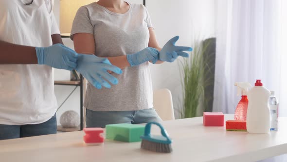 Professional Housekeeping Cleaning Service Maids alt