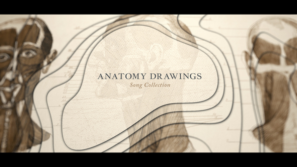 Anatomy Drawings TitlesAncient - VideoHive 24967955