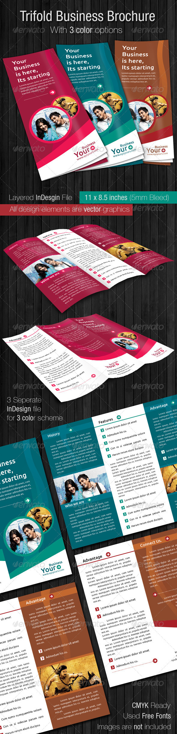 Trifold Business Brochure - Informational Brochures