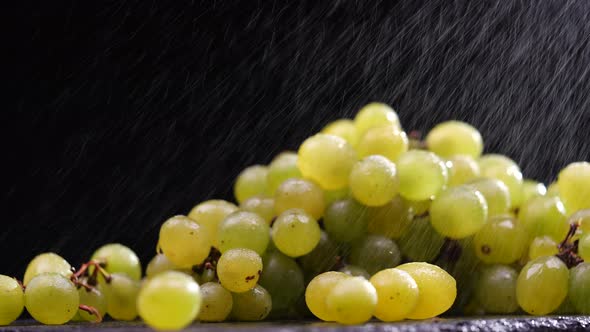 Spraying Grapes With Water