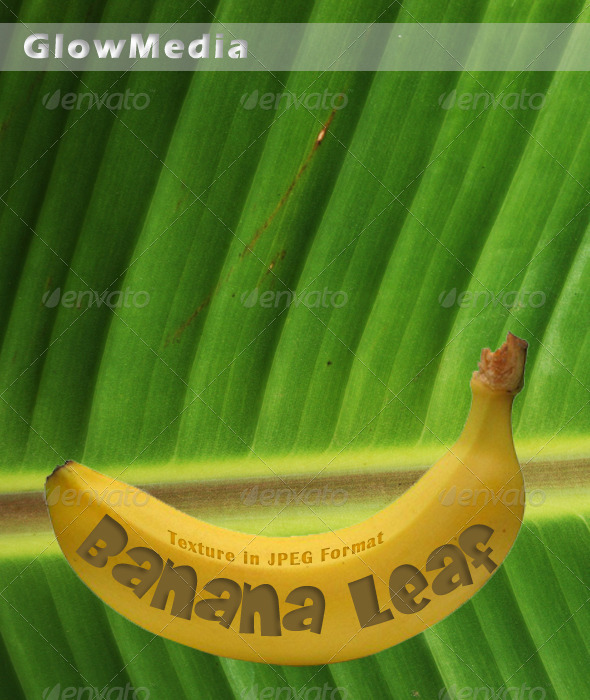 Banana Leaf