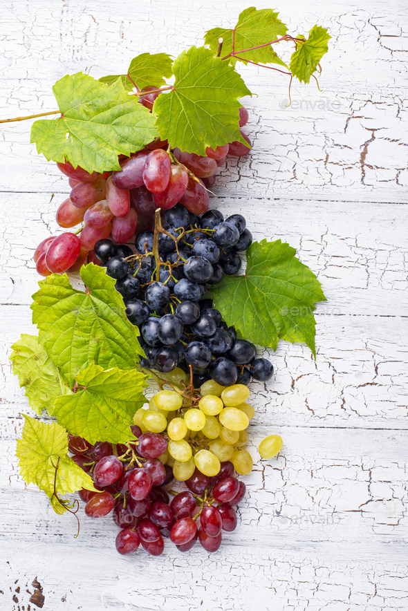 Assortment of different sort of grapes