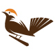 Bird Logo