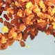 Raisins Soar Up and Fall Down - VideoHive Item for Sale