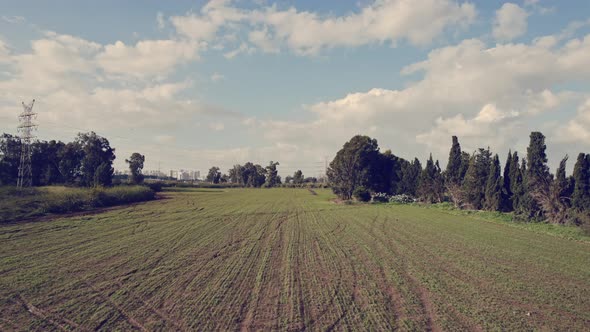 Cinematic Drone fly by Green Fields, trees blue sky Power lines