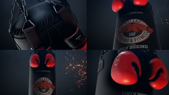 Boxing Gloves Logo Reveal