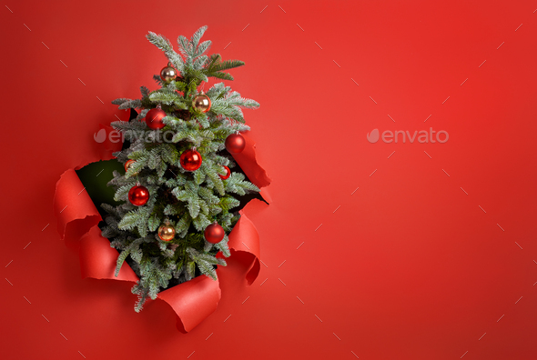 Christmas tree on bright red Stock Photo by choreograph