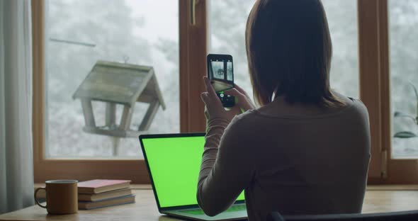 Unrecognizable Woman Making Mobile Photo of Feeding Chickadees While Working at Home By Window