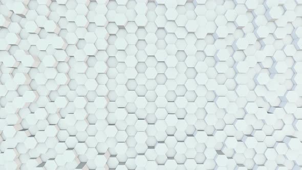 Hexagon abstract White Clear background. 4K vídeo.
