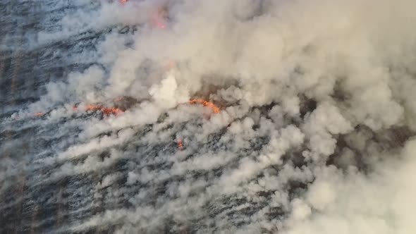 Aerial View of Big Smoke Clouds and Fire on the Field. Flying Over Wildfire and Plumes of Smoke alt