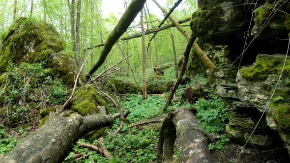 Stone Caves In The Forest Covered With Moss alt