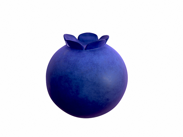 Blueberry - 3Docean 25019814
